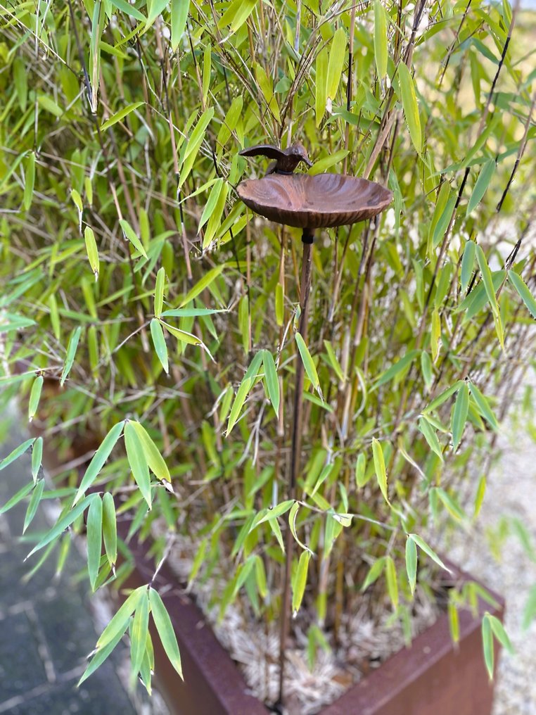  鸟浴盆 - 铸铁 - 鸟食碗 - 99 厘米 #3.2