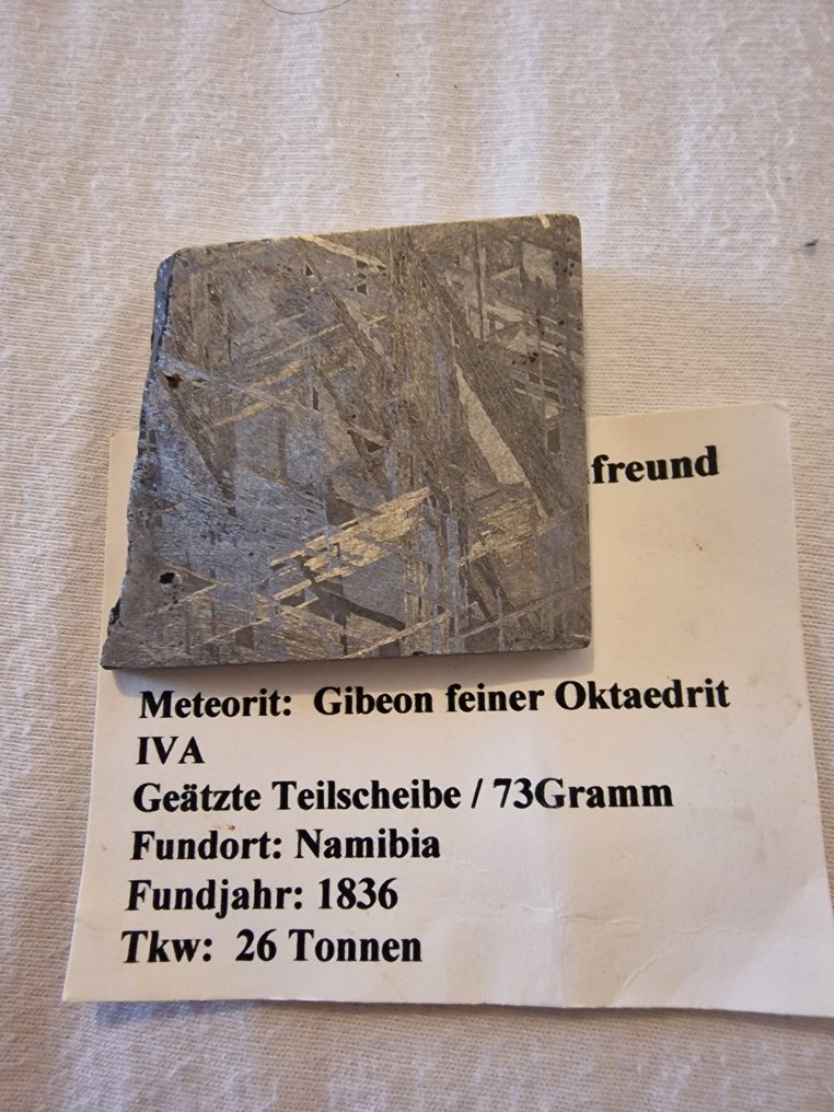 Gibeon Meteorit Octahedrit - 73 g #3.1