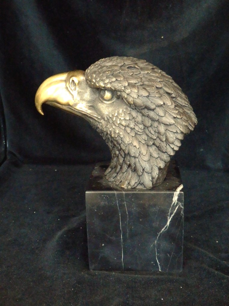 After Thornbun - 雕刻, Grote bronzen Adelaarskop - 22 cm - 冷漆青銅(Cold painted bronze) - 2020 #1.0