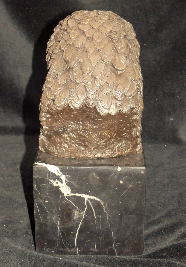 After Thornbun - 雕刻, Grote bronzen Adelaarskop - 22 cm - 冷漆青銅(Cold painted bronze) - 2020 #4.3