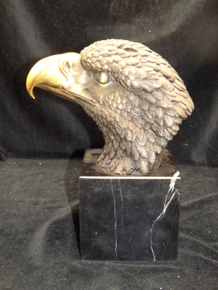 After Thornbun - 雕刻, Grote bronzen Adelaarskop - 22 cm - 冷漆青銅(Cold painted bronze) - 2020 #3.2