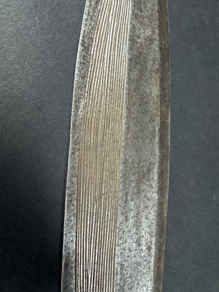 Sabie scurtă - Congo #3.2