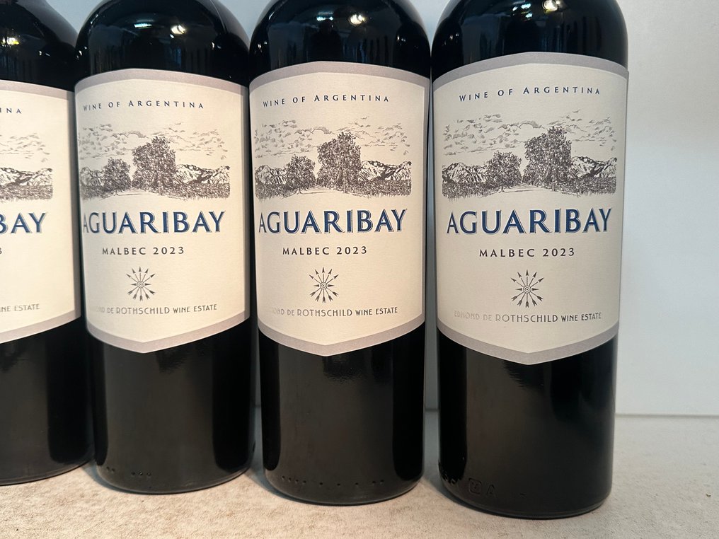 2023 Aguaribay Malbec Edmond de Rothschild - 乌科山谷 - 6 Bottles (0.75L) #3.2