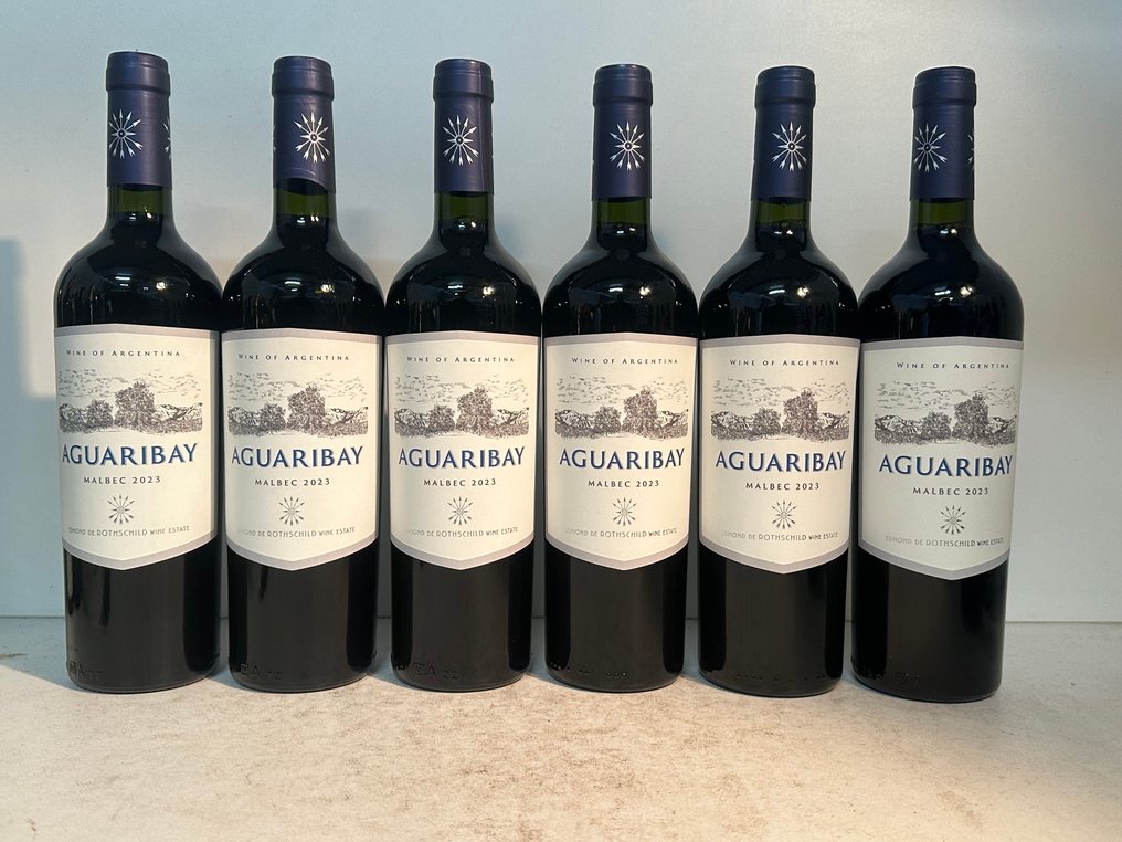 2023 Aguaribay Malbec Edmond de Rothschild - 乌科山谷 - 6 Bottles (0.75L) #1.0