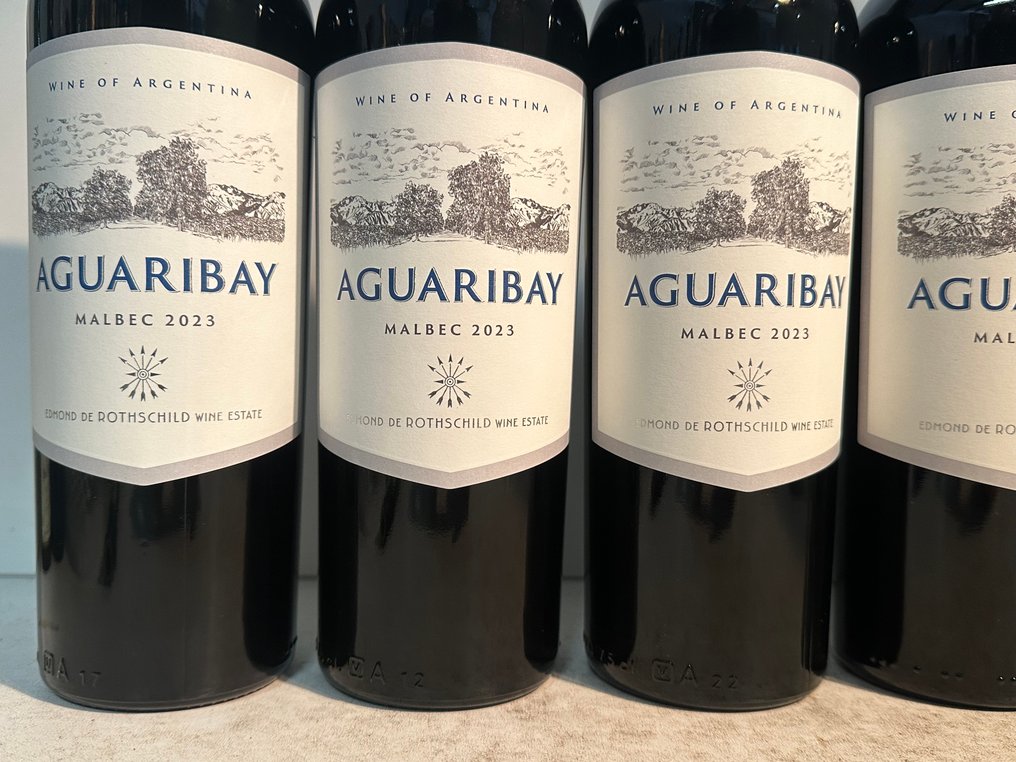 2023 Aguaribay Malbec Edmond de Rothschild - 乌科山谷 - 6 Bottles (0.75L) #1.0