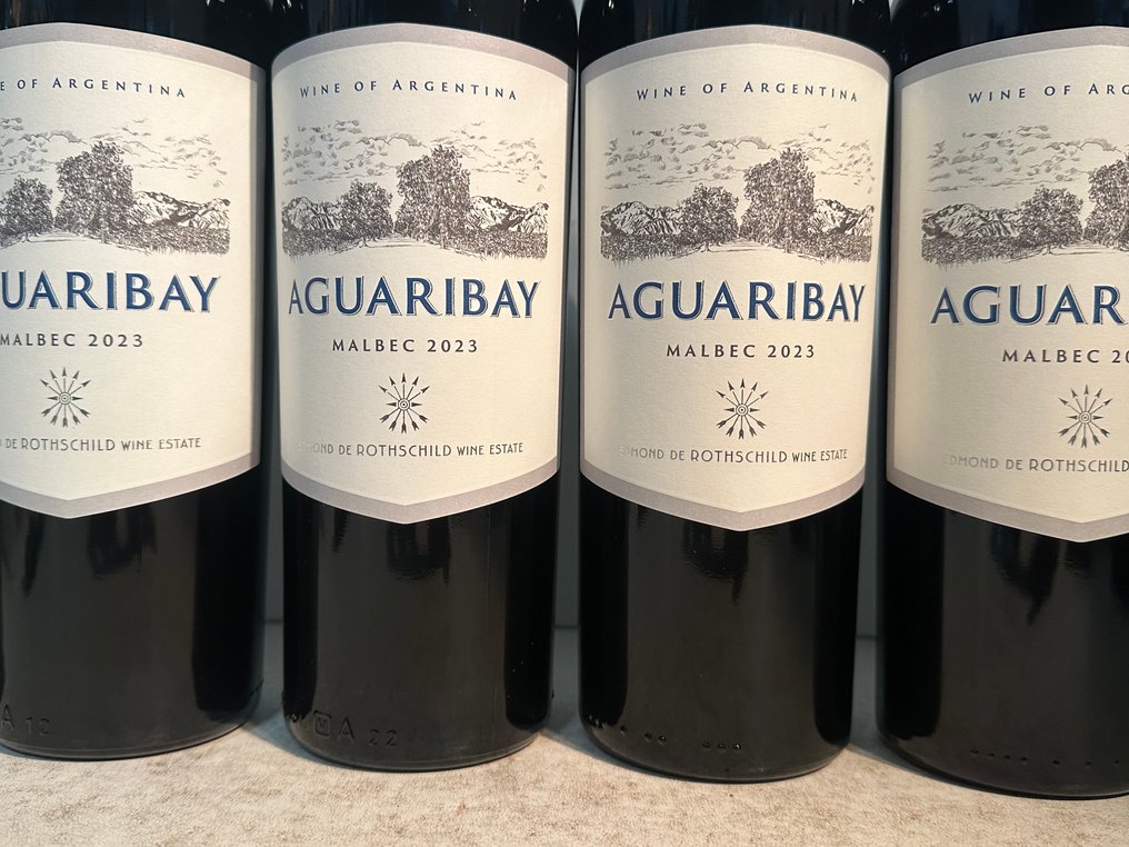 2023 Aguaribay Malbec Edmond de Rothschild - 乌科山谷 - 6 Bottles (0.75L) #2.1