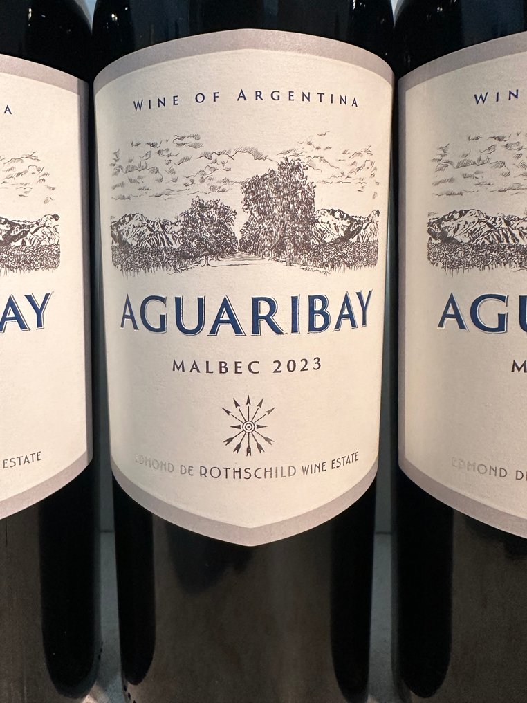 2023 Aguaribay Malbec Edmond de Rothschild - 乌科山谷 - 6 Bottles (0.75L) #4.3