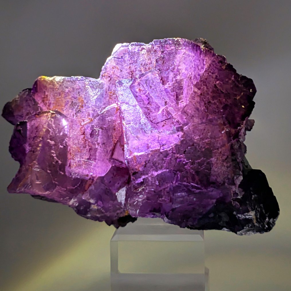 Large cubic violet intense fluorite, Illinois Crystals on matrix - Height: 132 mm - Width: 89 mm- 940 g #1.0
