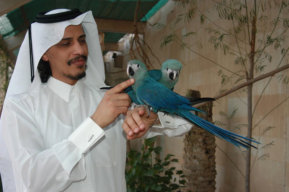 Αρχαία Αίγυπτος Κολιέ της Αμάρνα με χορευτικά και τυμπανιστικά αξεσουάρ, με γούρια του Μπεσ και του κεφαλιού της - 40 cm #3.2