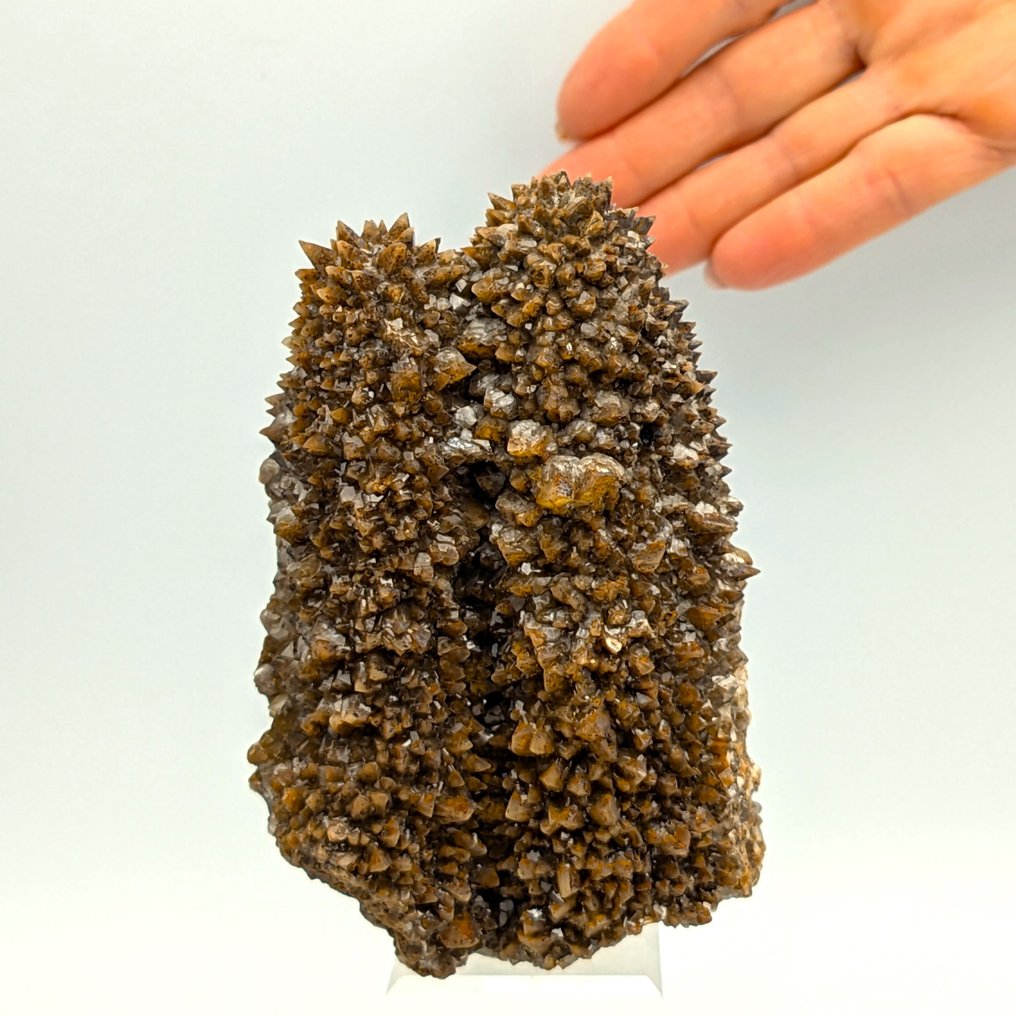 GEMELLI από CALCITE επικαλυμμένα 300+ δευτερογενή κρύσταλλα Κρύσταλλοι στη μήτρα - Ύψος: 121 mm - Πλάτος: 79 mm- 513 g #1.0