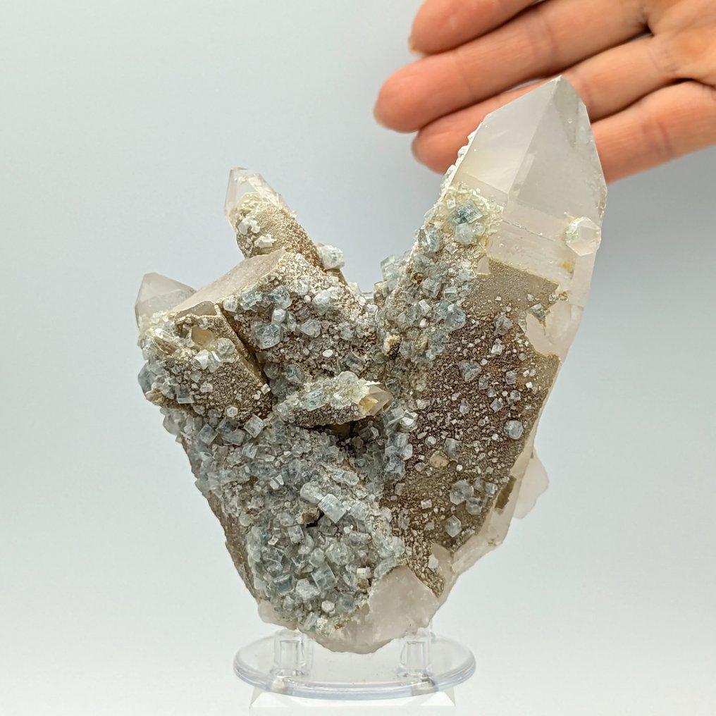 Quartz covered by blue apatite, hundreds of crystals. Crystals on matrix - Height: 123 mm - Width: 94 mm- 474 g #1.0