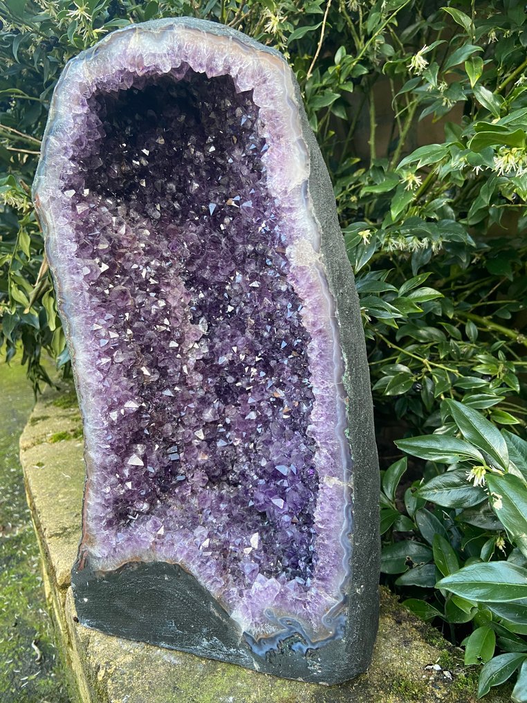 Ametista Geode - Altezza: 36 cm - Larghezza: 20 cm- 11 kg - (1) #1.0