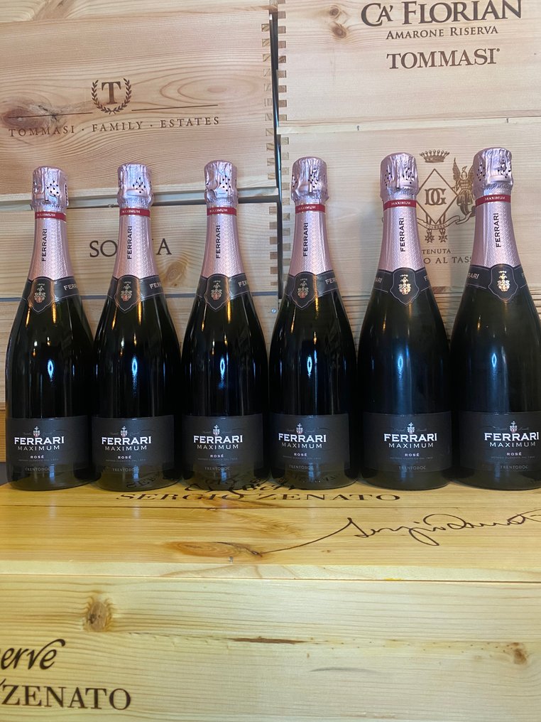 Cantine Ferrari, Ferrari Maximum - 特伦蒂诺, 特伦托 Brut, Rosé - 6 Bottles (0.75L) #1.0
