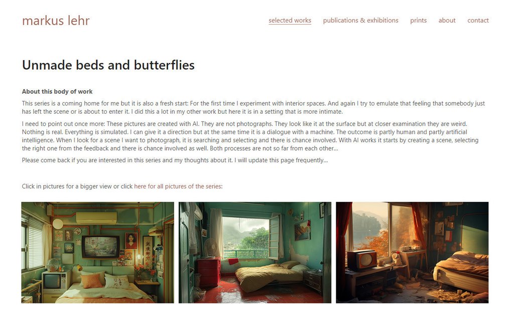 Markus Lehr - Unmade beds and butterflies no. 10 #3.2