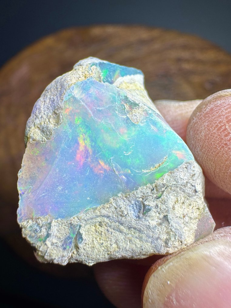 Σετ 3 φυσικών ακατέργαστων Opales από την Αιθιοπία. 86,30 καράτια. Χωρίς τιμή ελάχιστης αποδοχής. Άγριος, μη κομμένος- 17.26 g - (3) #4.3