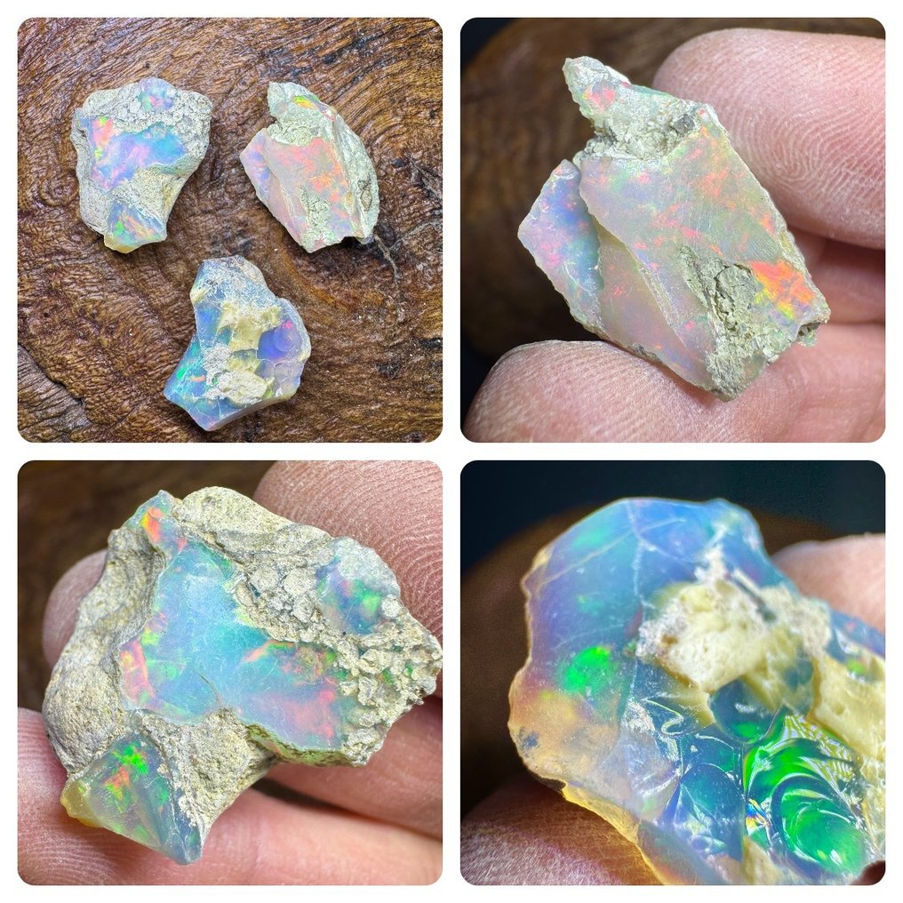 Σετ 3 φυσικών ακατέργαστων Opales από την Αιθιοπία. 86,30 καράτια. Χωρίς τιμή ελάχιστης αποδοχής. Άγριος, μη κομμένος- 17.26 g - (3) #1.0