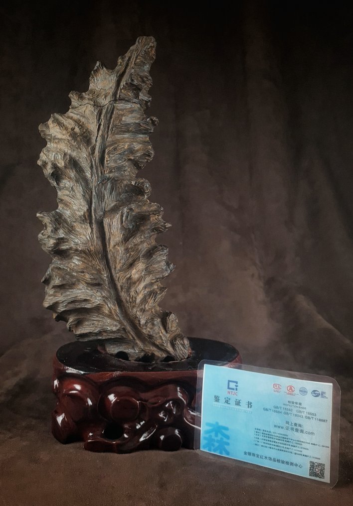 芽庄沉香1.8公斤！ - 越南  (沒有保留價) #4.3