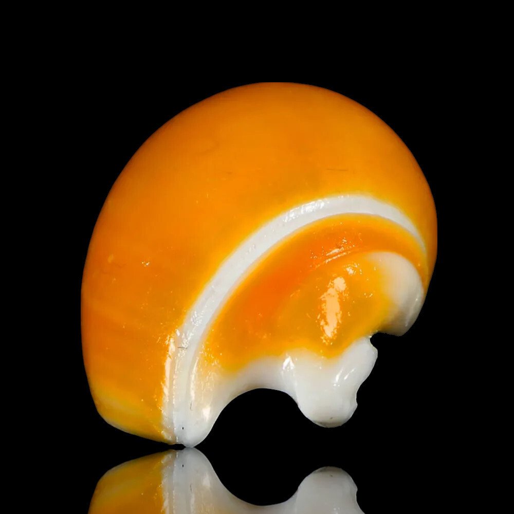 Eburna Lienardii Bright Orange Seashell - Height: 36 mm - Width: 19 mm- 5 g - (1) #3.2
