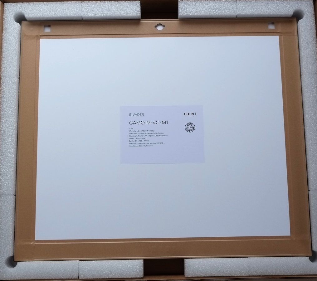 Invader (1969) - CAMO M-4C-M1 #4.3