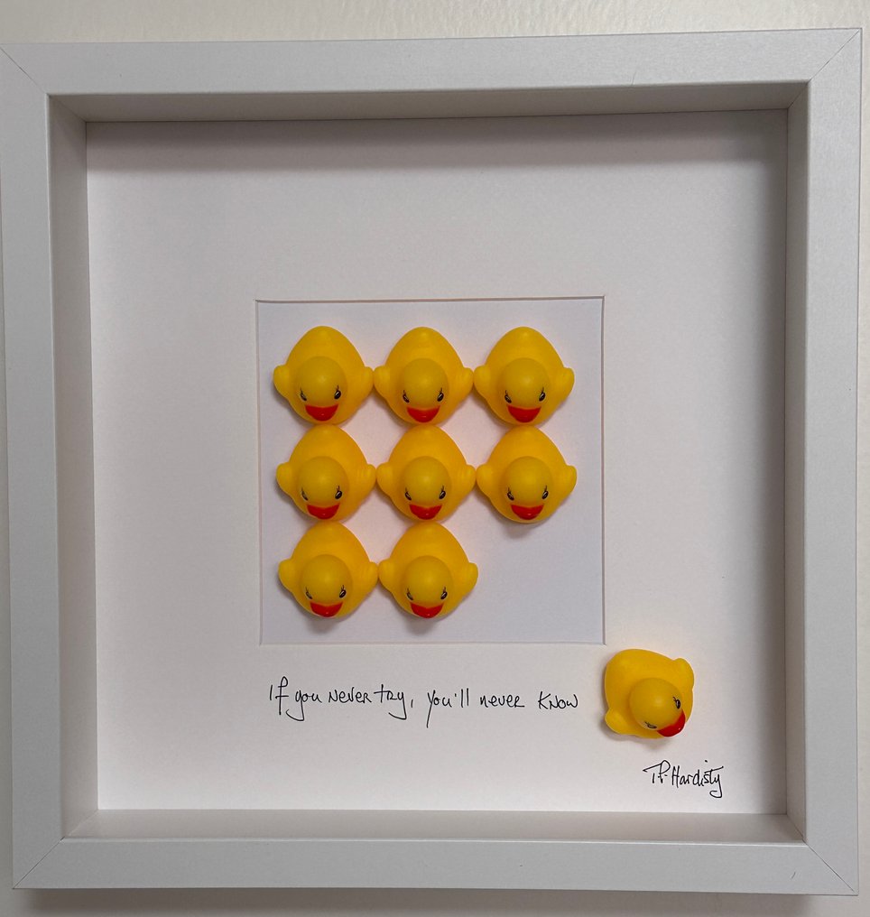 T P Hardisty - If you never try, you'll never know #1.0