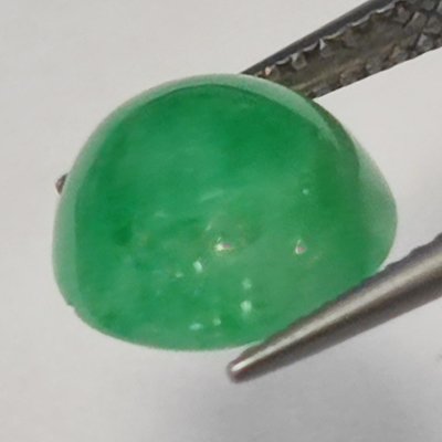 绿色 翡翠  - 5.27 ct - 西班牙宝石学院（IGE） - Jade A Grade FEI CUI #4.3