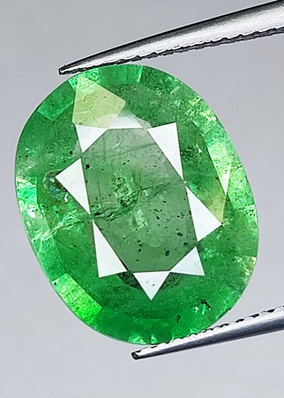Tsavoriitti  - 8.50 ct - Instituto Gemólogico Español (IGE) #1.0