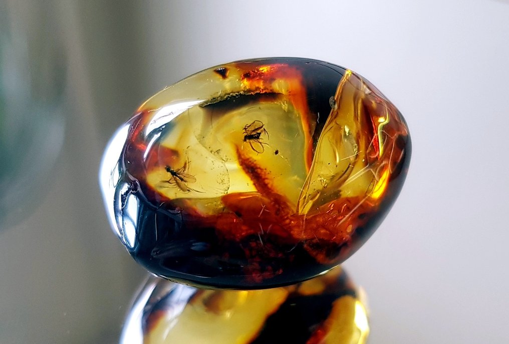 Espécime de museu muito raro, âmbar báltico natural com inclusão de inseto - 2 insetos - Âmbar  (Sem preço de reserva) #3.2