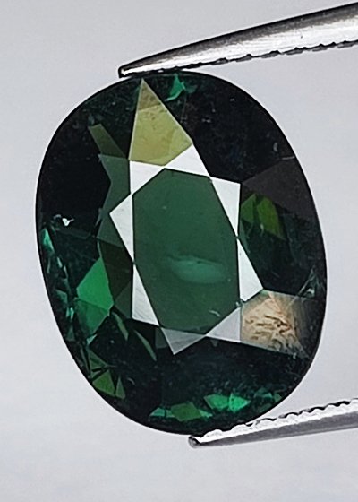 绿色 电气石  - 3.86 ct - 西班牙宝石学院（IGE） #1.0