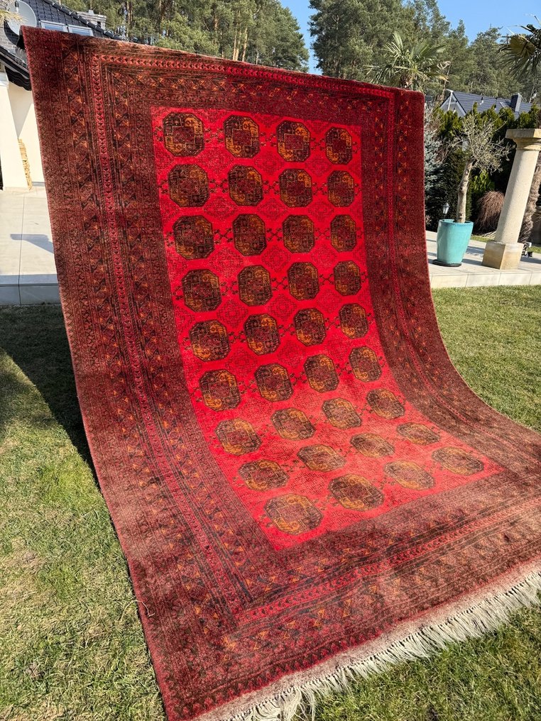 Unique Afgan Afganistan carpet - Carpet - 380 cm - 250 cm #4.3