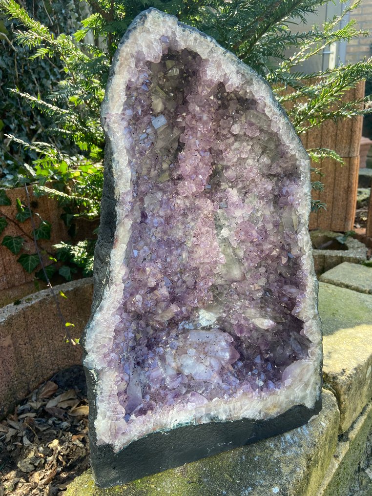 Amethyst Geode - Height: 42 cm - Width: 26 cm- 18 kg - (1) #2.1