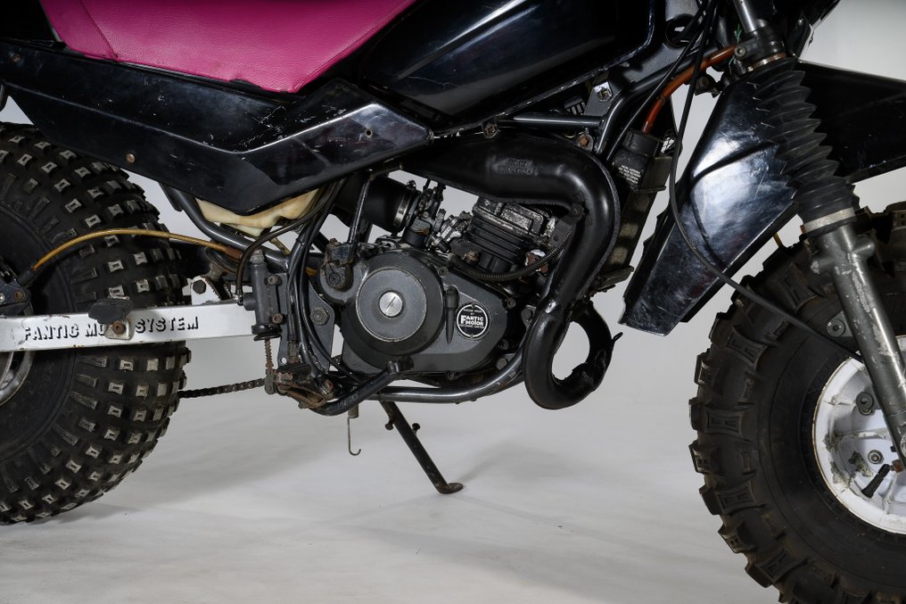 Fantic - Koala - NO RESERVE - 49 cc - 1987 #1.0