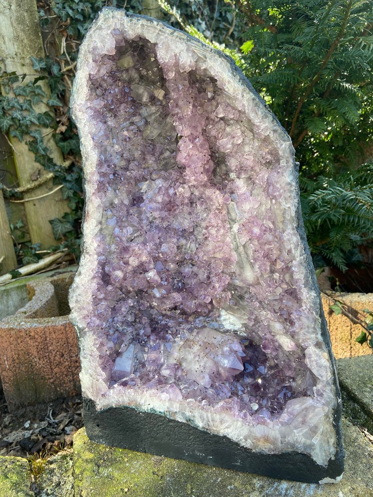 Amethyst Geode - Height: 42 cm - Width: 26 cm- 18 kg - (1) #1.0
