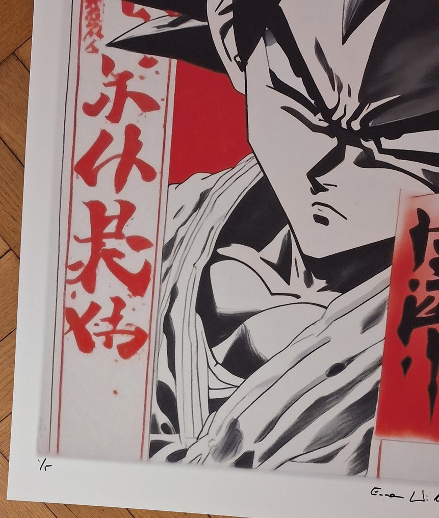 Emma Wildfang - Dragon Ball - Watercolor and pencil edition - Large size #3.2