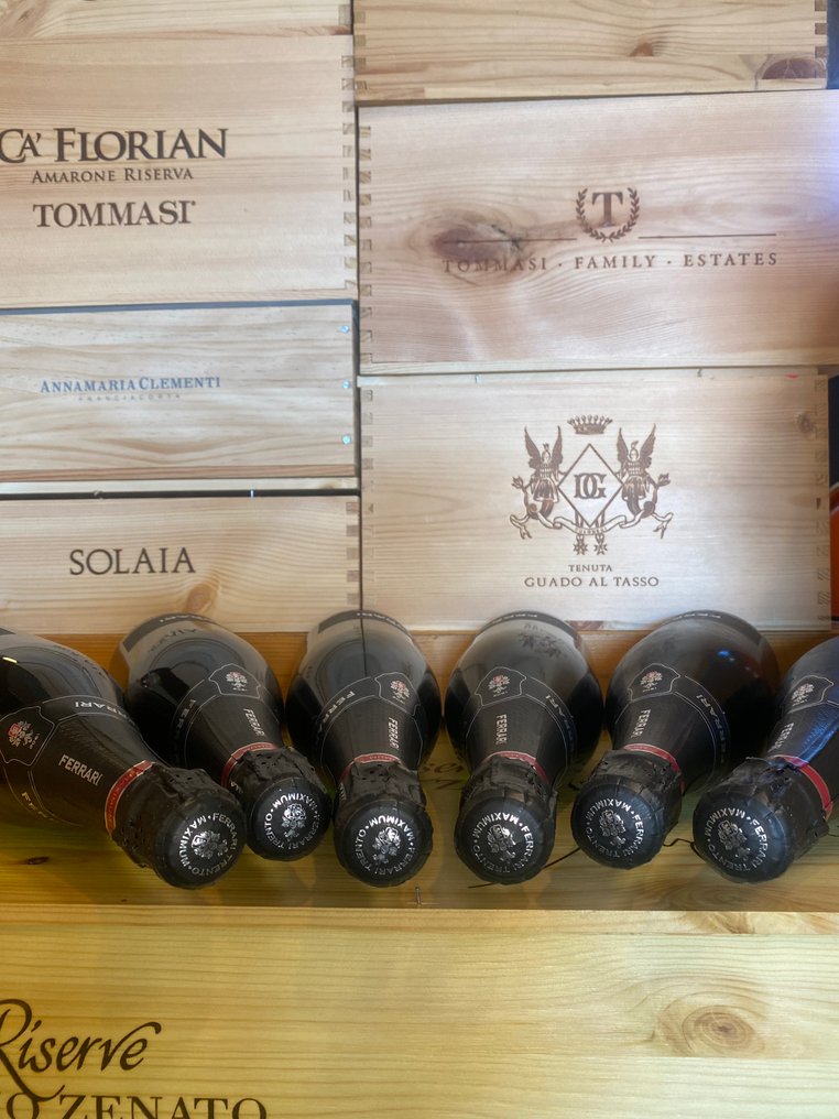 Cantine Ferrari, Maximum - 特伦托 Brut, Blanc de Blancs - 6 Bottles (0.75L) #2.1