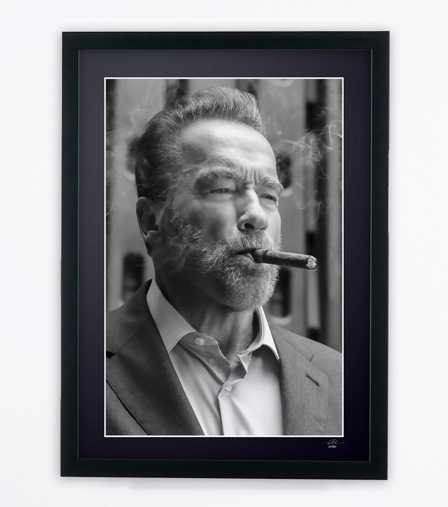 Arnold Schwarzenegger - Iconic - Fine Art Photography - Luxury Wooden Frame 70X50 cm - Limited Edition 01 of 30 - Serial 20101 - Original Certificate (COA), Hologram - 100% New. Shipping Reduction from 3 items #3.2