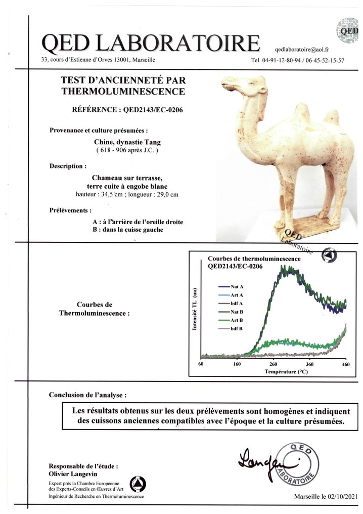 Ancient Chinese Terracotta Tang Dynasty Camel Figure with TL Test - 33.8 cm #3.2