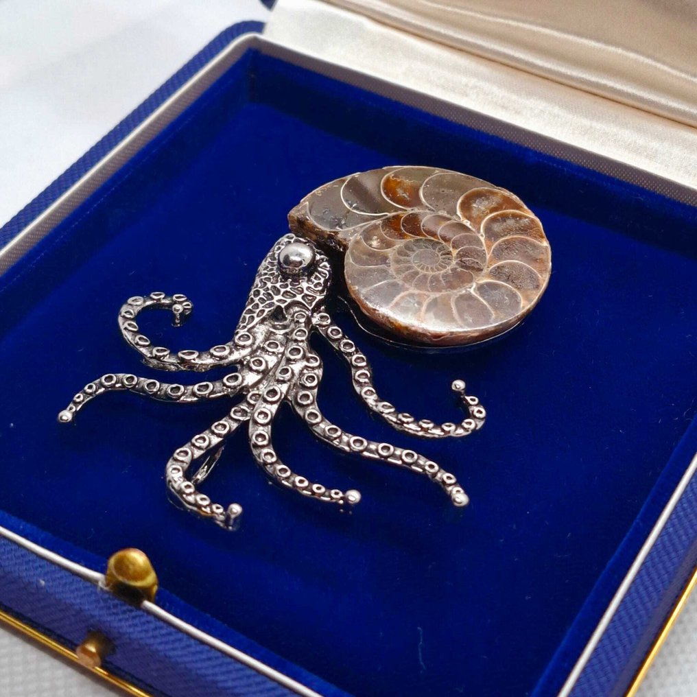 Argento 925. - Broszka - Skamieniałość amonitu. #4.3