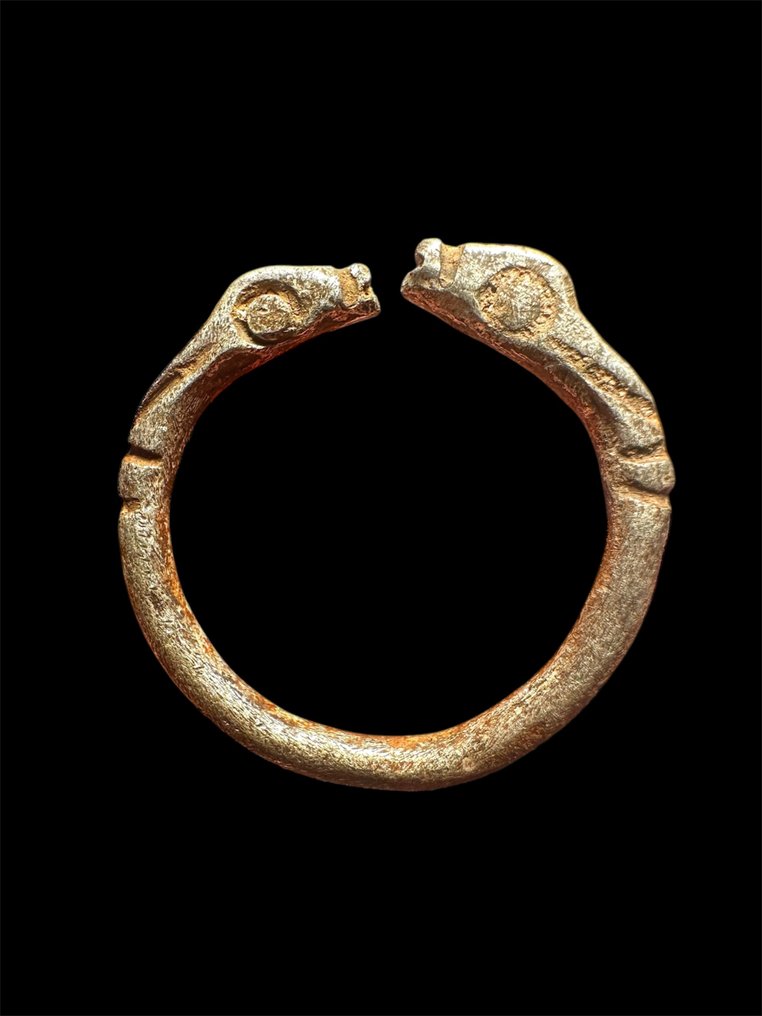 neoelamita Argento Anello #1.0