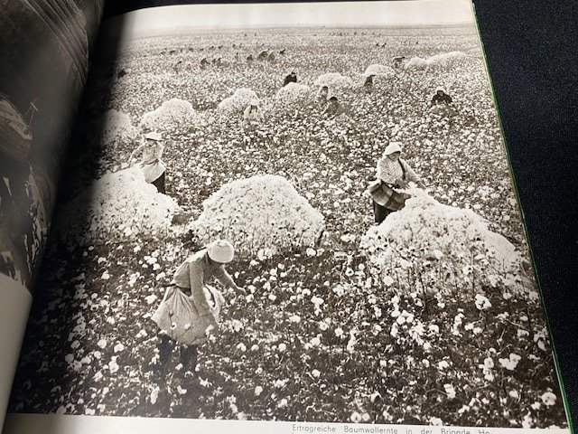 Verlag für Fremdsprachige Literatur - Lernen von Dadschai (CHINESE PROPANDA FOR DDR/GDR, VERY FRESH COPY) - 1976 #3.2