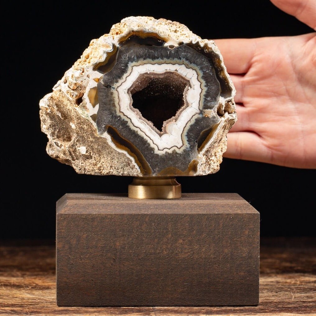 天然玛瑙bGeode，带可见结晶——咖啡棕色玛瑙——优雅的木质和黄铜底座 - 高度: 257 mm - 闊度: 121 mm- 1370 g #1.0