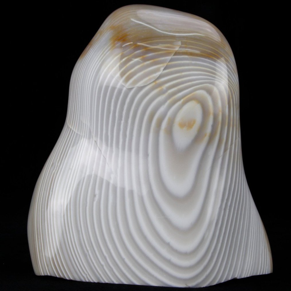 Πολύ σπάνιο - Zebra Jasper - Μεγάλο ελεύθερου σχήματος ορυκτό - Ocean Jasper - Ύψος: 240 mm - Πλάτος: 210 mm- 7730 g #1.0