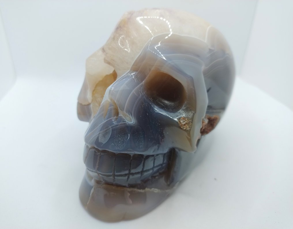 Agate Skull - Height: 12 cm - Width: 9 cm- 990 g - (1) #4.3