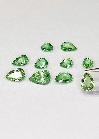 10 pcs Grün Tsavorit - 2,96 ct - Antwerp Laboratory for Gemstone Testing (ALGT) #1.0