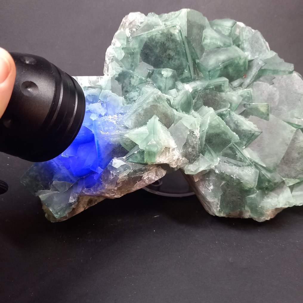 Fluoriet fluorescerend Exemplaar - Hoogte: 26 cm - Breedte: 17 cm- 3.69 kg - (1) #1.0