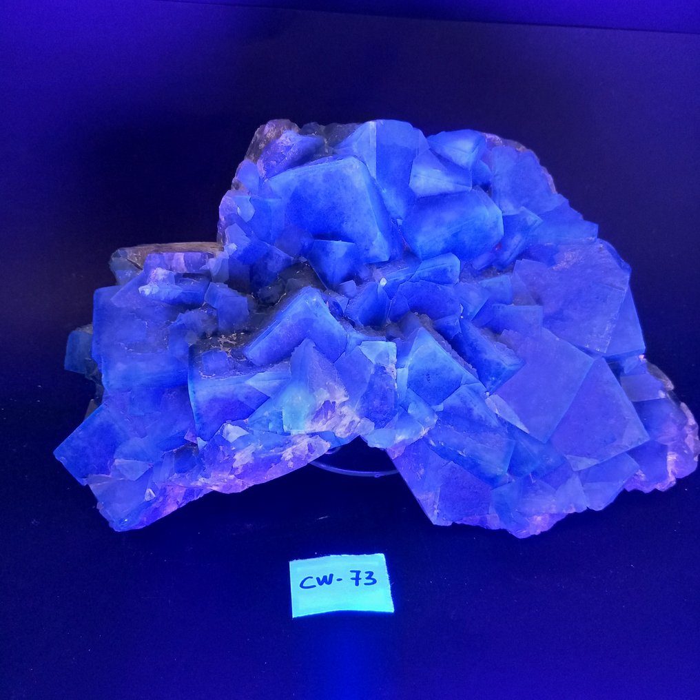 Fluoriet fluorescerend Exemplaar - Hoogte: 26 cm - Breedte: 17 cm- 3.69 kg - (1) #3.2