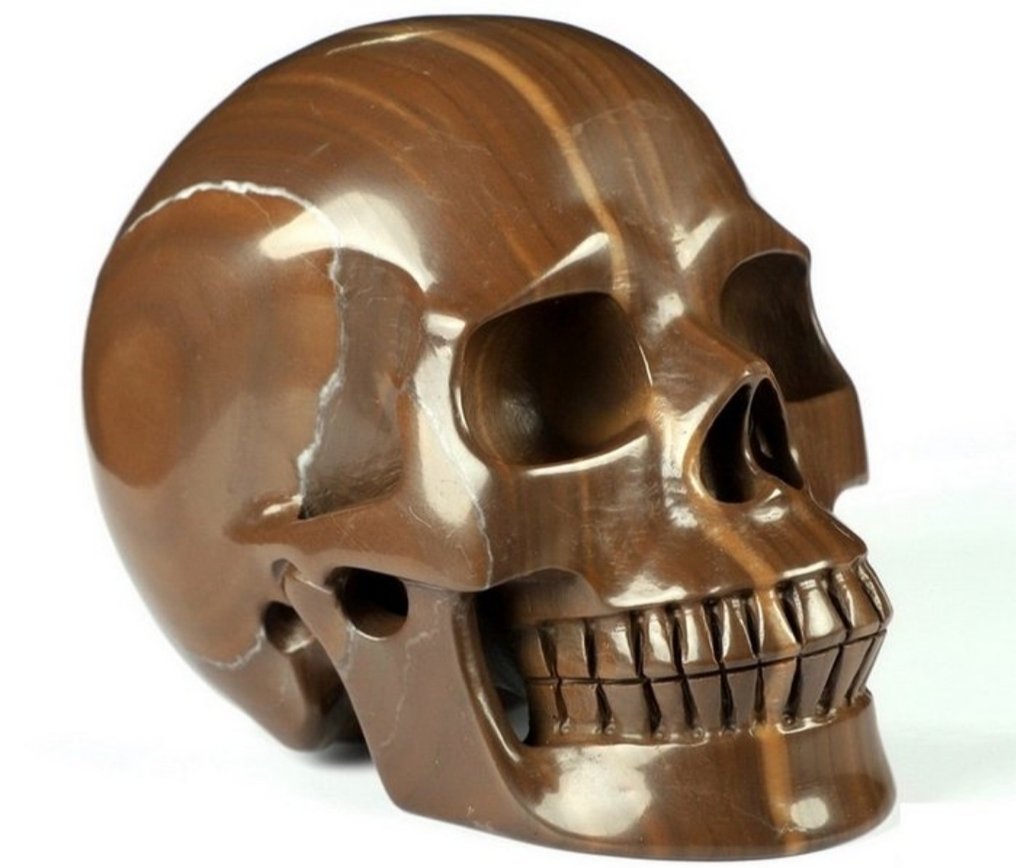 Jasper Craniu- 1.41 kg - (1) #1.0