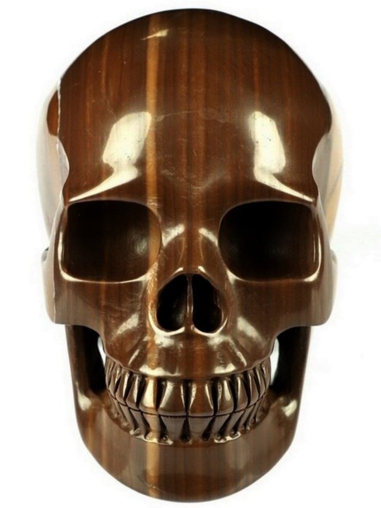 Jasper Craniu- 1.41 kg - (1) #1.0