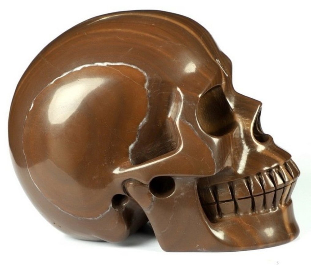 Jasper Craniu- 1.41 kg - (1) #4.3