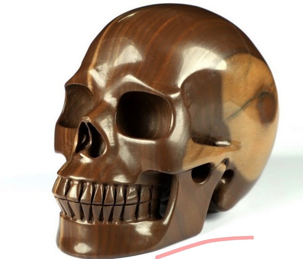 Jasper Craniu- 1.41 kg - (1) #3.2