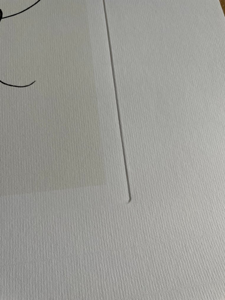 Pablo Picasso (after) - after (1881-1973), Le Coq, 1918, copyright Picasso Administration-SABAM Belgium 2010 #3.2